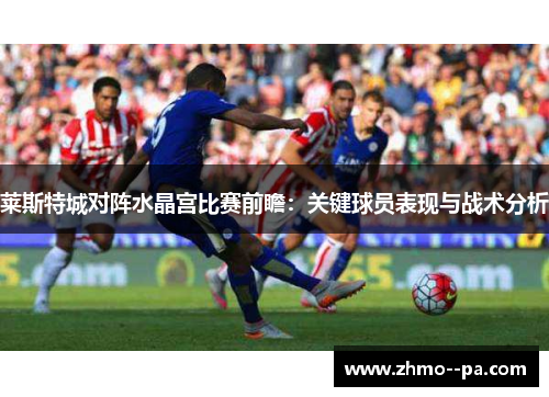 莱斯特城对阵水晶宫比赛前瞻：关键球员表现与战术分析